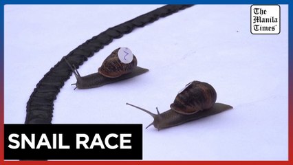 Snails slug it out at racing world champs
