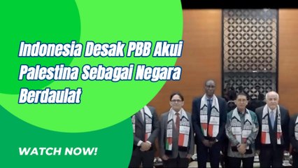Indonesia Desak PBB Akui Palestina Sebagai Negara Berdaulat Dan Merdeka