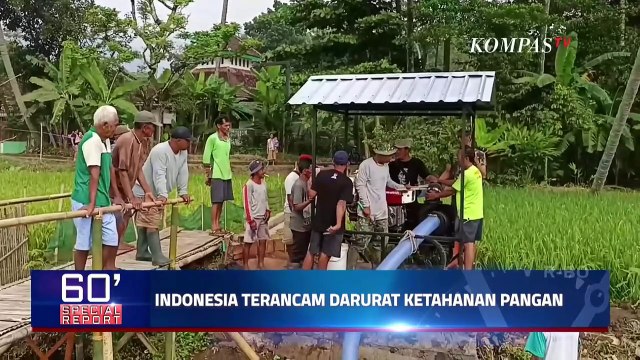 Indonesia Terancam Darurat Ketahanan Pangan, Begini Kata Pengamat Pertanian