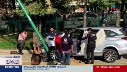 Unas 6 mil señales de tránsito requieren ser renovadas en la CDMX