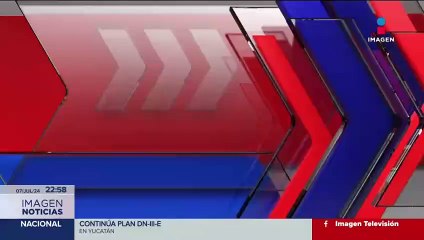 Rescatan en Tlaxcala a un lagarto endémico de Asia