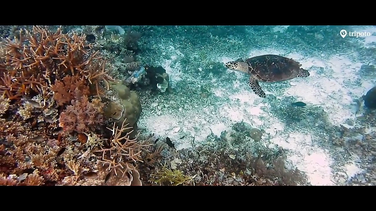 Andaman And Nicobar Islands_ Best Hotels, Best Beaches, Things To Do, Food _ Tripoto