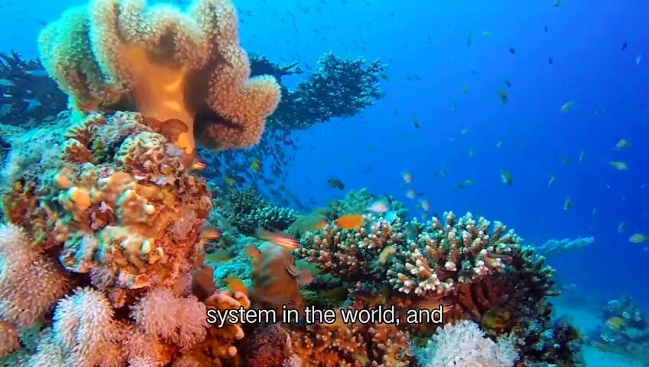 Top five places in the world