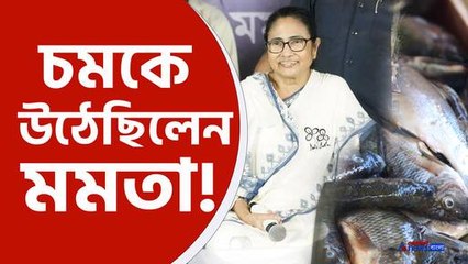 mamata banerjee on tilapia fish