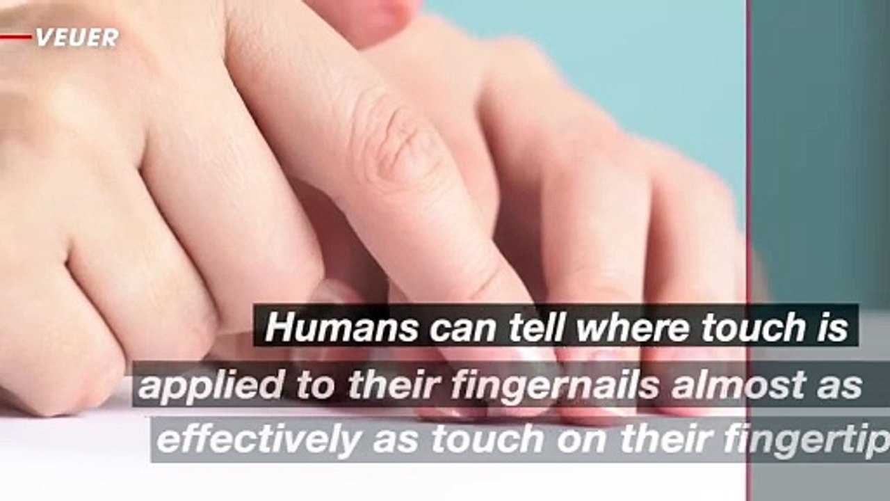 New Study Reveals Nail Potential for Sensory Stimulus