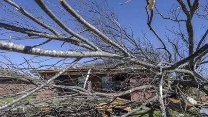 Beryl Kasırgası’nda bilanço artıyor... Kasırga, Texas’a ulaştı: Uçuşlar iptal edildi