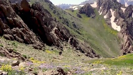 Dosya Taybet: BERXWEDANA GELÊ KURD