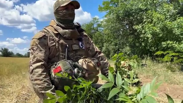 СВО. Самоходный артиллерийский полк. Часовой. Выпуск от 07.07.2024