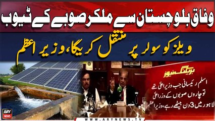 "Wafaq Balochistan Se Mil Kar Soobay Ke Tube wells ko solar par muntaqil karega," PM Shehbaz