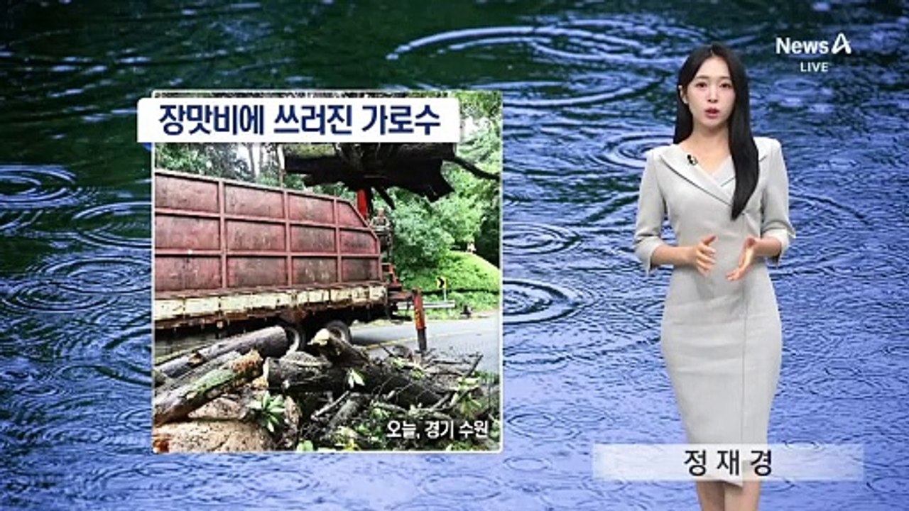 [날씨]내일 강한 비 이어져…120mm 이상
