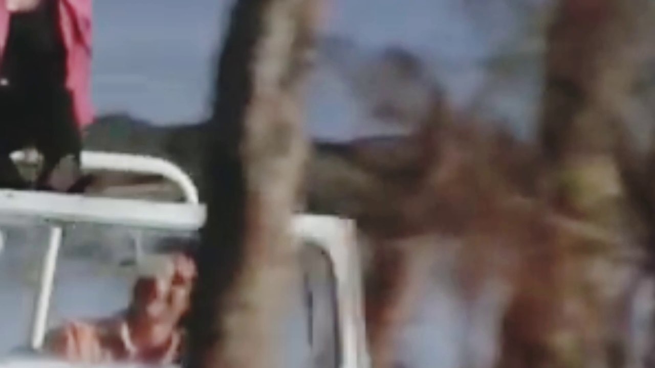 Pass Wo Aana Laga Zara Zara | Hindi Viral Songs