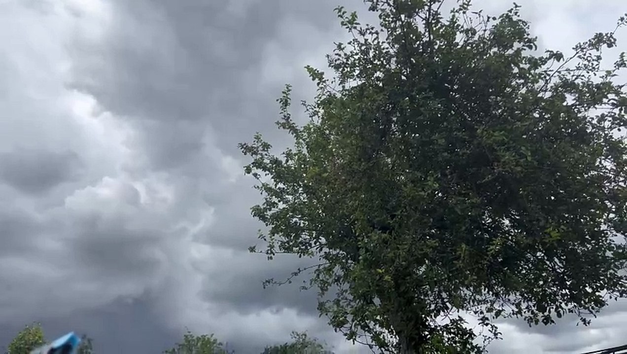 Weather ️