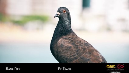 PF Track MAAC Rashbehari