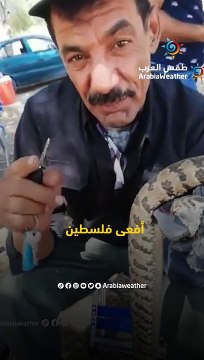 تعرف على أخطر أفعى سامة في بلاد الشام وطريقة حماية نفسك من لدغتها