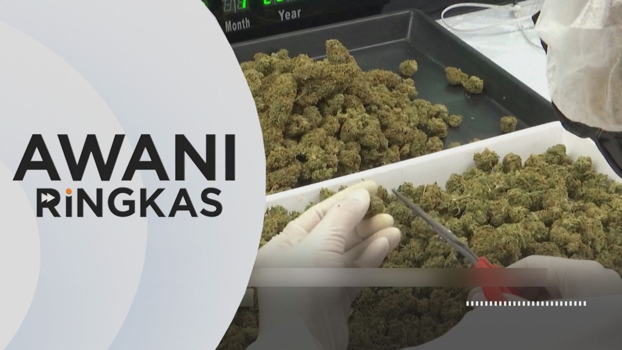 AWANI Ringkas: Thailand haramkan semula ganja mulai 1 Jan 2025