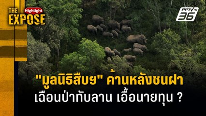 "มูลนิธิสืบฯ" ค้านหลังชนฝา  เฉือนป่าทับลาน เอื้อนายทุน ? | The Expose Highlight