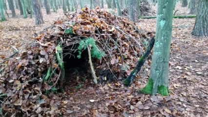 Allen's Top 4 Pros And Cons Bushcraft Primitive Shelters