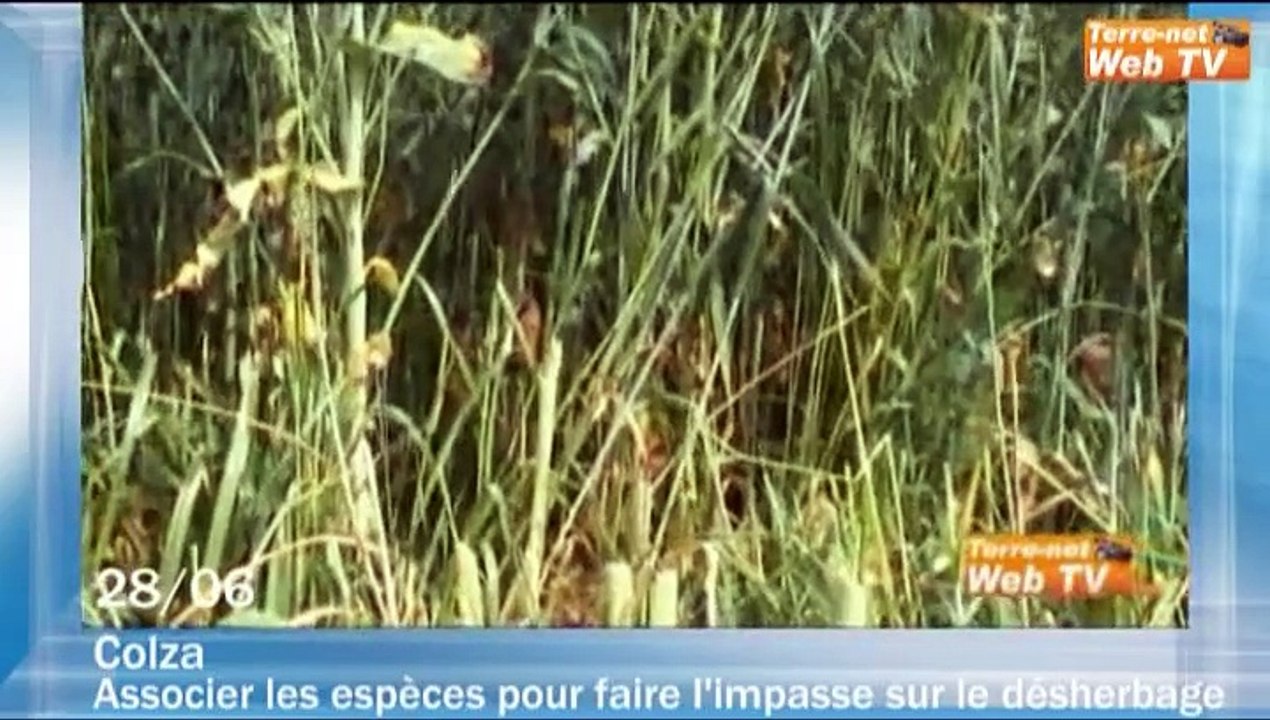 Juillet août 2010 : une moisson de qualité, l’A...