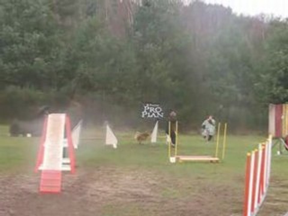 St avold dom bugsy open 160308