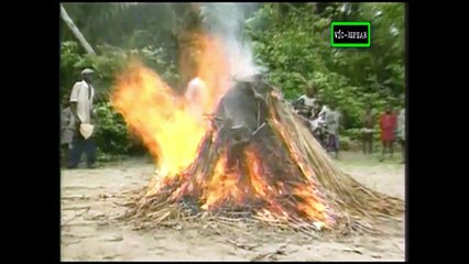 El Tercer Planeta - La Magia Zangbeto - Documental (1998) Español - Version 2