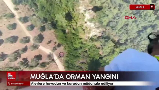 Muğla’nın Milas ilçesinde, orman yangını çıktı
