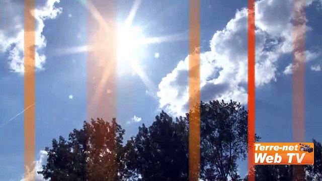 Julien Greffier, Gnis : « C’est l’occasion de refaire beaucoup de prairie et de plus raisonner les choix des variétés implantées »