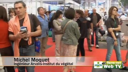 Michel Moquet : « Détruire suffisamment tôt les dérobées pour ne pas pénaliser en eau la culture suivante »