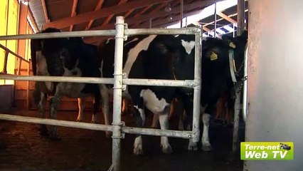 Catherine Journel, vétérinaire : « L’éleveur peut se concentrer sur les vaches en début de lactation » (partie 1)