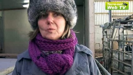 Catherine Journel, vétérinaire : « Une différenciation des vaches comme dans les très grands troupeaux » (partie 2)