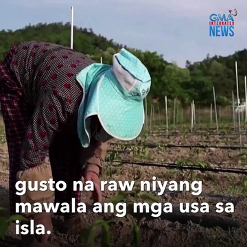 Deer invasion Labis na dami ng mga usa, perwisyo sa mga magsasaka | GMA Integrated Newsfeed