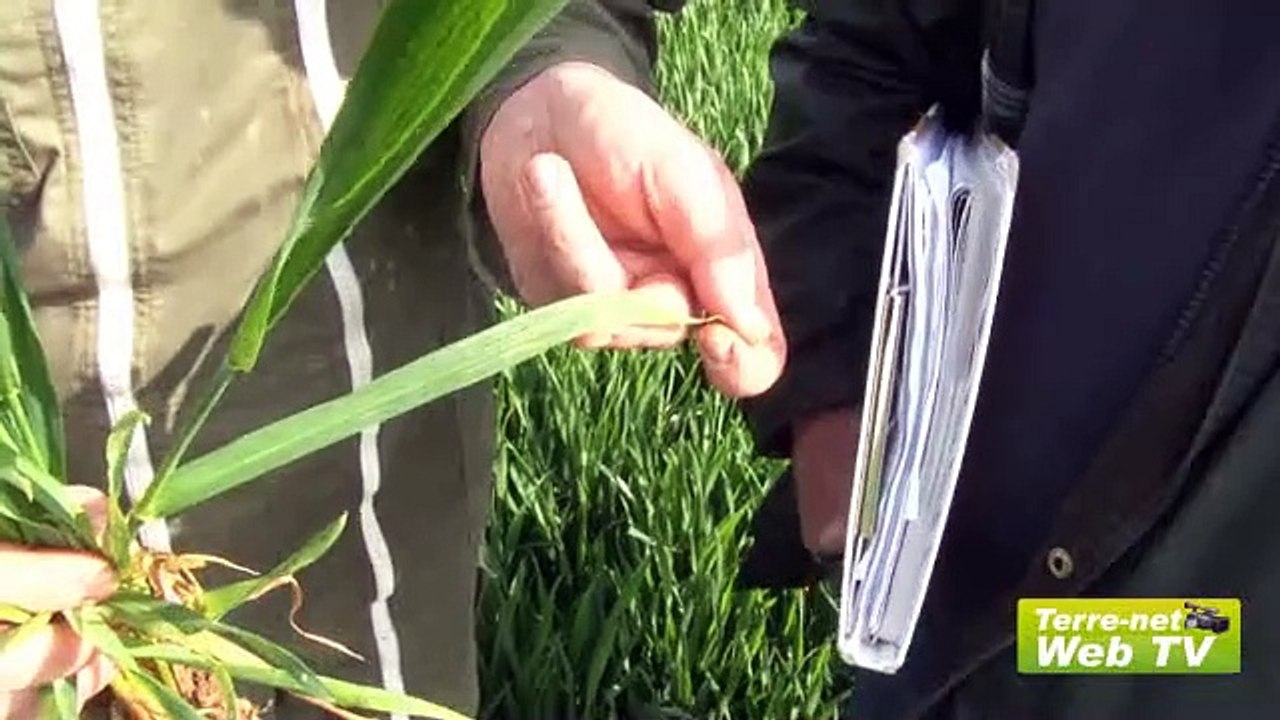 Technique conventionnelle avec Vincent Pellerin (agriculteur) : « Pas le choix, c'est deux passages ! »