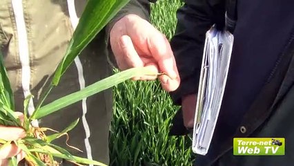 Technique conventionnelle avec Vincent Pellerin (agriculteur) : « Pas le choix, c'est deux passages ! »