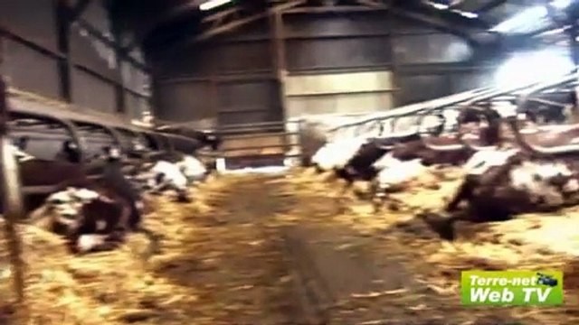 « La sub-acétonémie n'affecte pas uniquement les vaches hautes productrices »