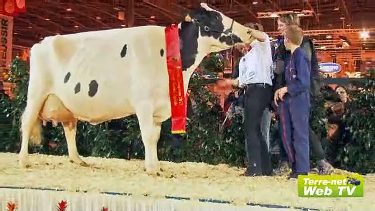 Les vaches qui ont marqué l’année 2012