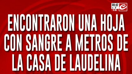 Caso Loan: encontraron una hoja con sangre a metros de la casa de Laudelina