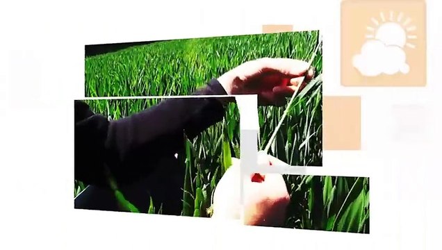 JL Manceau : « Obligé d’irriguer pour faire lever mes orges et mes betteraves »