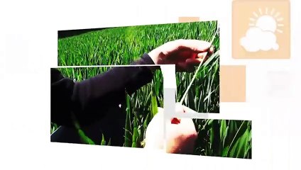 JL Manceau : « Obligé d’irriguer pour faire lever mes orges et mes betteraves »