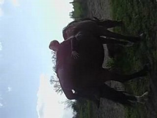 toboggan sur mon jason