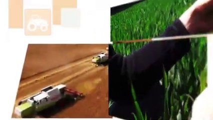 La très bonne récolte mondiale à venir entretient des prix historiquement bas