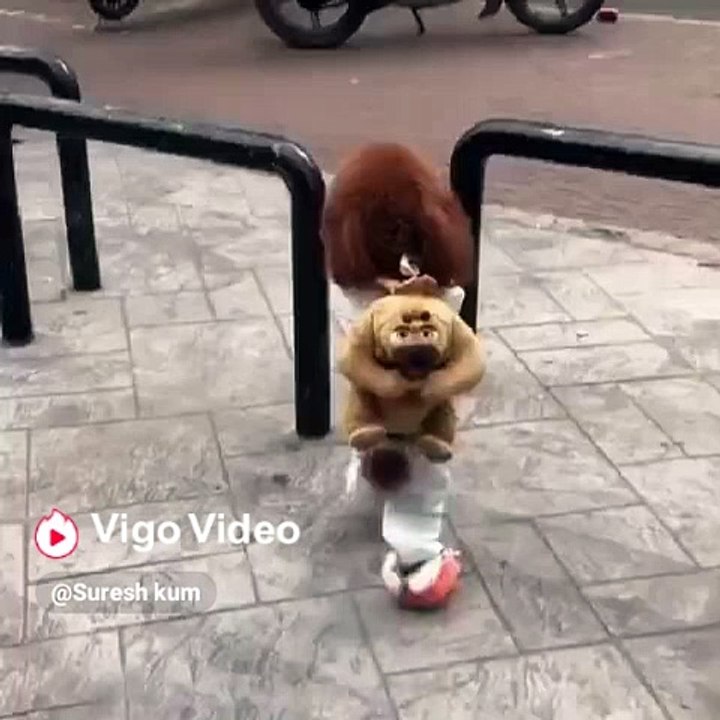 Funny  it