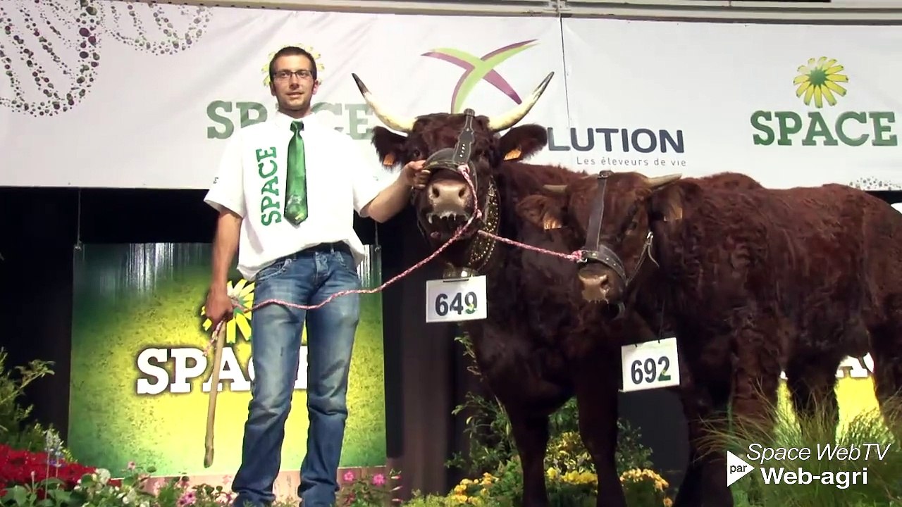 Forez et Gentiane, champions du festival génétique national salers (Maj vidéo)