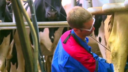 Evolution et Agrial forment leurs adhérents pour produire plus et mieux demain