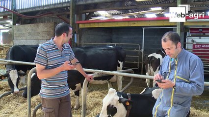 L’avis du Gaec des Patisseaux (49) sur l’application mobile Lely T4C InHerd