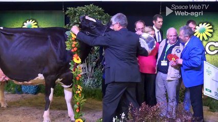 Cendrillon, devient la princesse des Holsteins au Space 2015 ! (Maj vidéo)