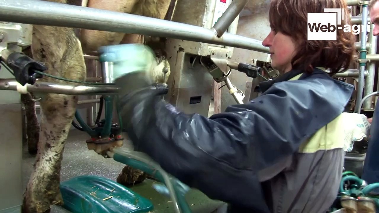 Sept associés et 180 vaches laitières pour un travail bien rodé