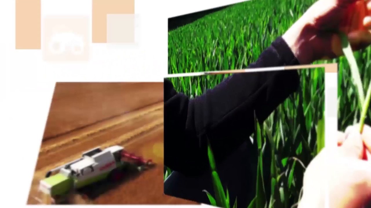 J. Decerle (JA): « Des aides spécifiques pour les jeunes sont indispensables »