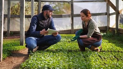 « L'objectif n'est pas de les résoudre, mais d'aider à mieux se comprendre »