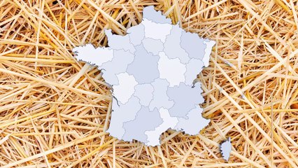 Visitez un centre d'allotement pour savoir où transitent vos animaux