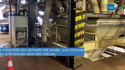 Unéal ouvre les portes de son unité de production d'alimentation animale