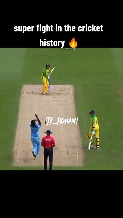Cricket
